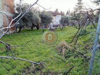 Οικόπεδο 420 τ.μ. για πώληση, Ημαθία, Δοβρά-thumb-4