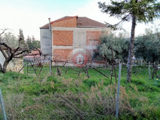 Οικόπεδο 420 τ.μ. για πώληση, Ημαθία, Δοβρά-thumb-12