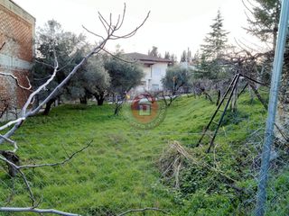 Οικόπεδο 420 τ.μ. για πώληση, Ημαθία, Δοβρά-thumb-6