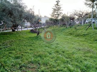 Οικόπεδο 420 τ.μ. για πώληση, Ημαθία, Δοβρά-thumb-15