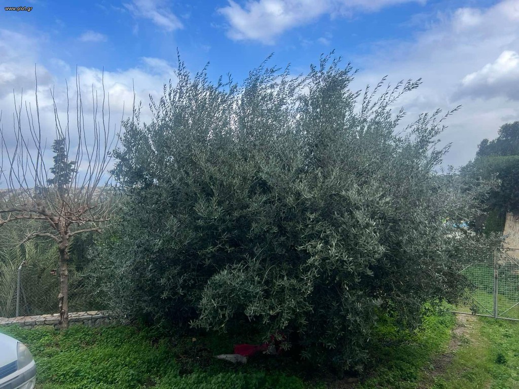 Land plot 4.234 sqm for sale, Heraklion Prefecture, Heraclion Cretes
