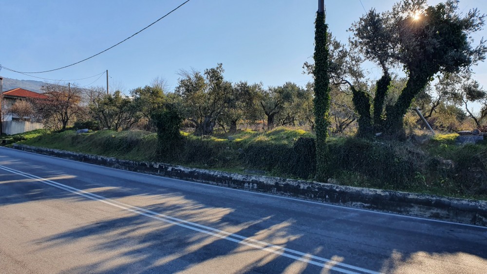 Αγροτεμάχια 4.037 τ.μ. πρός πώληση, Μαγνησία, Πορταριά