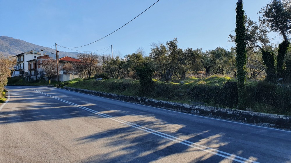 Αγροτεμάχια 4.037 τ.μ. πρός πώληση, Μαγνησία, Πορταριά