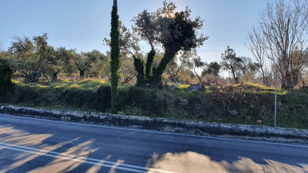 Αγροτεμάχια 4.037 τ.μ. πρός πώληση, Μαγνησία, Πορταριά