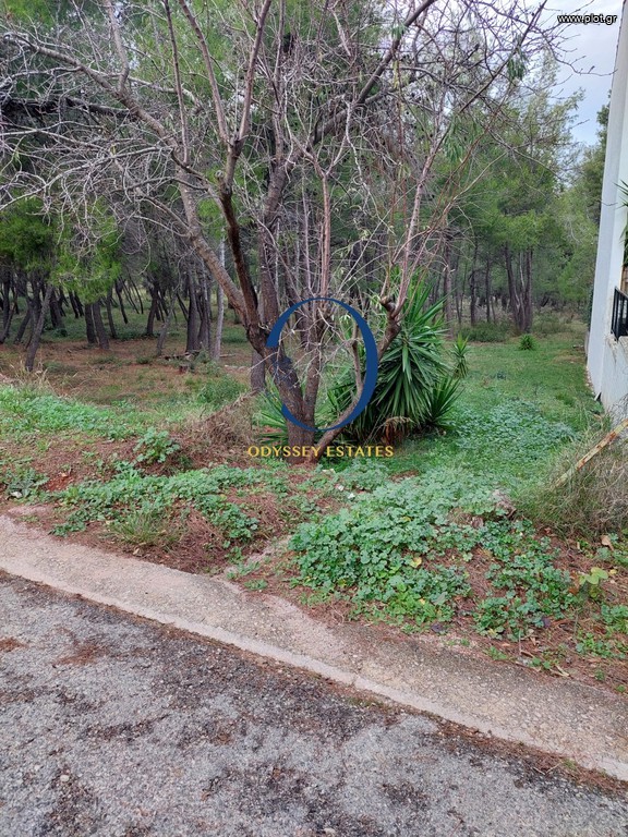 Οικόπεδο 761 τ.μ. προς πώληση, Κέντρο Σταμάτας