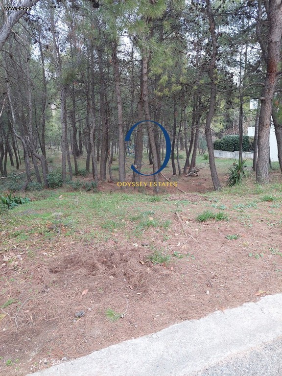 Οικόπεδο 761 τ.μ. προς πώληση, Κέντρο Σταμάτας