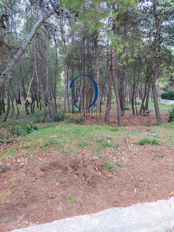 Οικόπεδο 761 τ.μ. προς πώληση, Κέντρο Σταμάτας