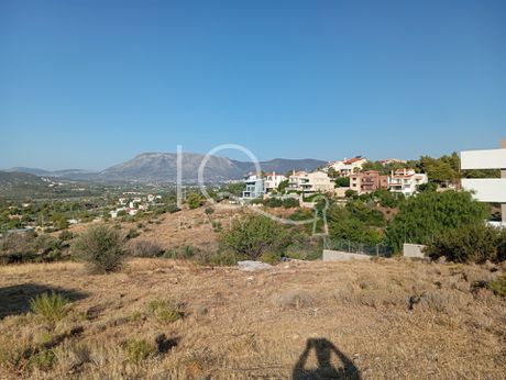 Οικόπεδο 695τ.μ. για πώληση-Παλλήνη