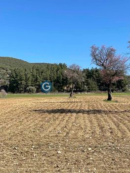 Parcel 1.418sqm for sale-Alexandroupoli » Avantas
