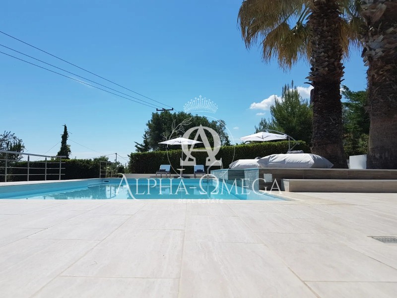 Βίλλα 390 τ.μ. πρός πώληση, Χαλκιδική, Κασσάνδρα