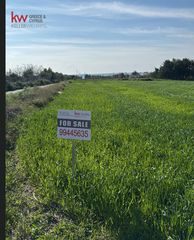 Αγροτεμάχια 6.395 τ.μ. για πώληση