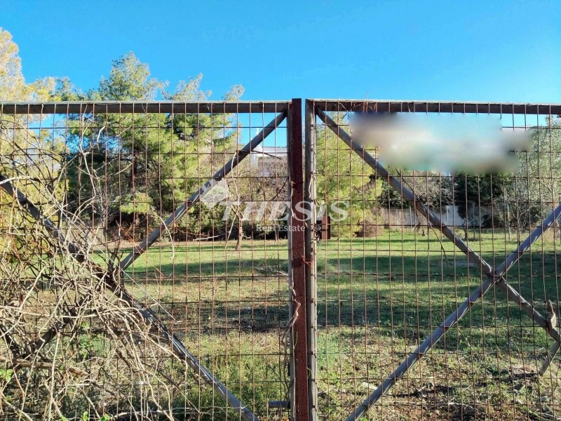 Οικόπεδο 599 τ.μ. για πώληση, Αττική - Υπόλοιπο, Σαρωνίδα