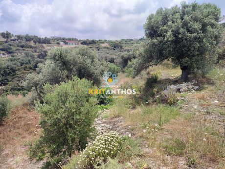 Parcel 3.083sqm for sale-Rethimno » Anogeia