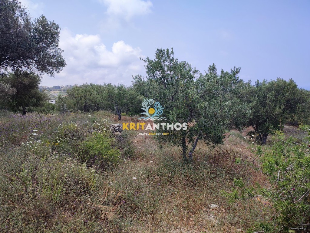 Αγροτεμάχια 3.083 τ.μ. πρός πώληση, Ν. Ρεθύμνου, Ρέθυμνο