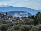 Αγροτεμάχια 4.165τ.μ. για πώληση-Νέα τίρυνθα » Άγιος αδριανός