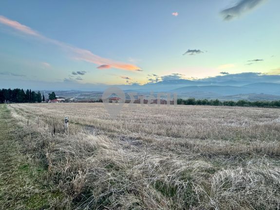 Parcel 10.210 sqm for sale, Imathia, Anthemia