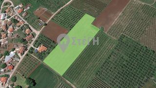 Αγροτεμάχια 10.210 τ.μ. για πώληση, Ημαθία, Ανθεμιά-thumb-3