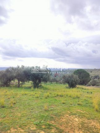 Οικόπεδο 1.399 τ.μ. για πώληση, Ν. Ηλείας, Πύργος