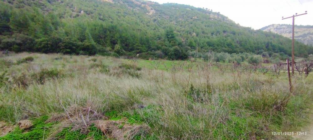 Αγροτεμάχια 2.500 τ.μ. πρός πώληση, Κορινθία, Σικυώνα