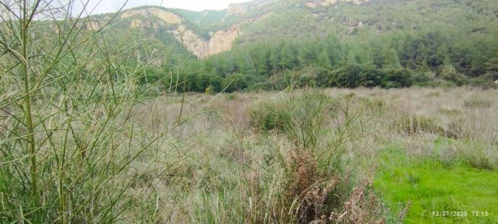 Αγροτεμάχια 4.500 τ.μ. πρός πώληση, Κορινθία, Σικυώνα