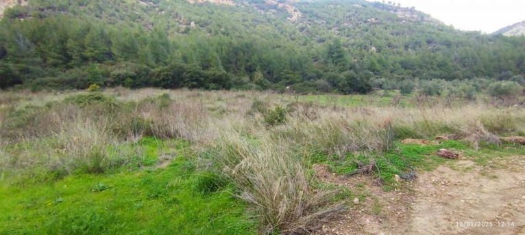 Αγροτεμάχια 4.500 τ.μ. για πώληση, Κορινθία, Σικυώνα