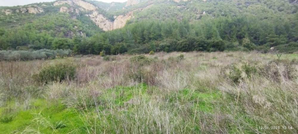 Αγροτεμάχια 4.500 τ.μ. πρός πώληση, Κορινθία, Σικυώνα