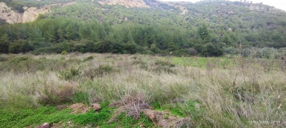 Αγροτεμάχια 4.500 τ.μ. πρός πώληση, Κορινθία, Σικυώνα