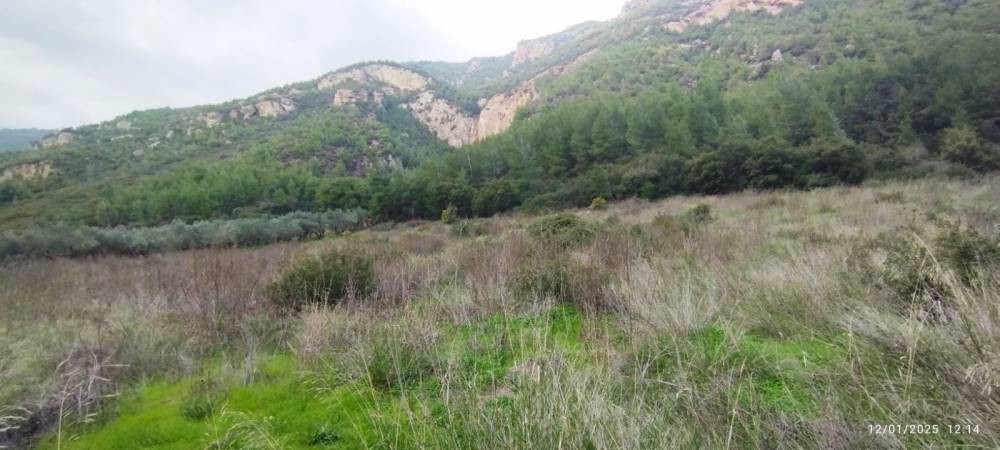 Αγροτεμάχια 4.500 τ.μ. πρός πώληση, Κορινθία, Σικυώνα