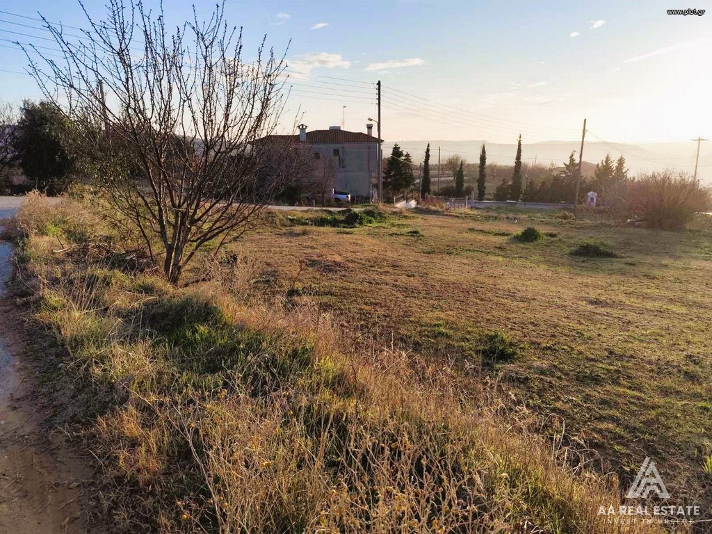 Οικόπεδο 1.000 τ.μ. πρός πώληση, Χαλκιδική, Τριγλία