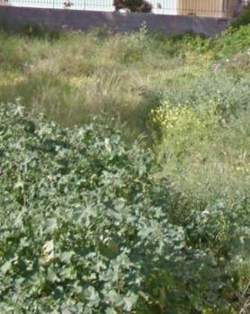 Οικόπεδο 375 τ.μ. για πώληση