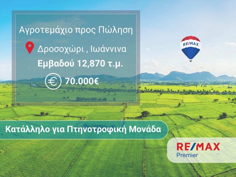 Αγροτεμάχια 12.870 τ.μ. πρός πώληση, Ν. Ιωαννίνων, Παμβωτίδα