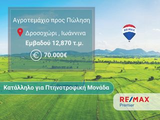 Αγροτεμάχια 12.870 τ.μ. για πώληση