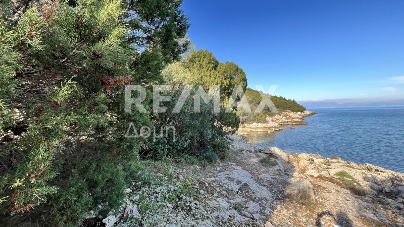 Οικόπεδο 38.042 τ.μ. πρός πώληση, Μαγνησία, Σούρπη