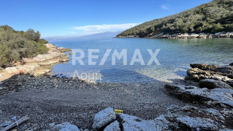 Οικόπεδο 38.042 τ.μ. πρός πώληση, Μαγνησία, Σούρπη