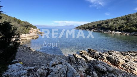 Οικόπεδο 38.042τ.μ. για πώληση-Σούρπη » Αμαλιάπολη