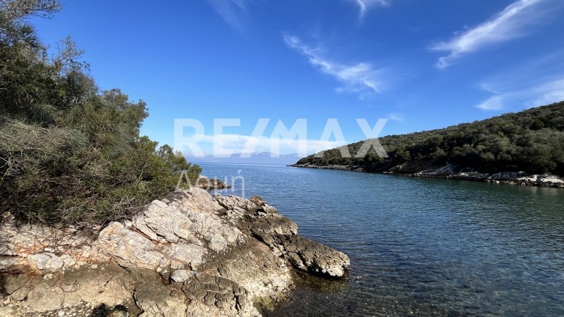 Οικόπεδο 38.042 τ.μ. πρός πώληση, Μαγνησία, Σούρπη