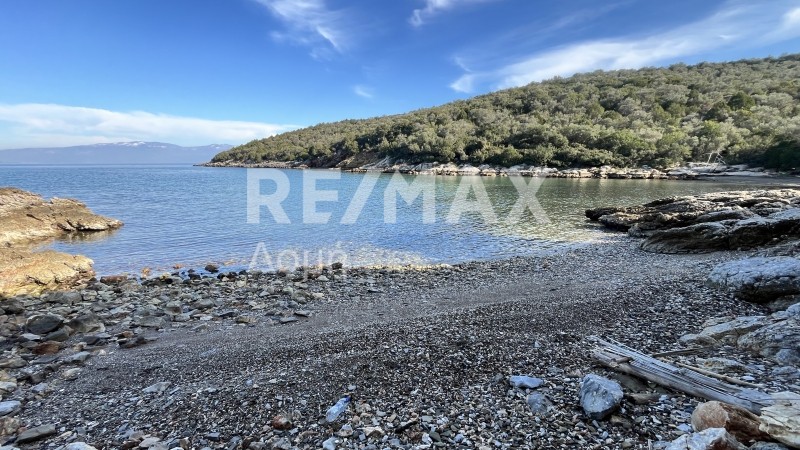 Οικόπεδο 38.042 τ.μ. πρός πώληση, Μαγνησία, Σούρπη