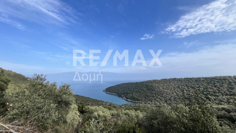Οικόπεδο 9.221 τ.μ. πρός πώληση, Μαγνησία, Σούρπη