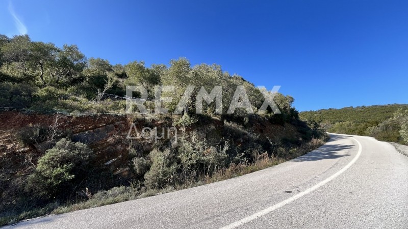 Οικόπεδο 9.221 τ.μ. πρός πώληση, Μαγνησία, Σούρπη