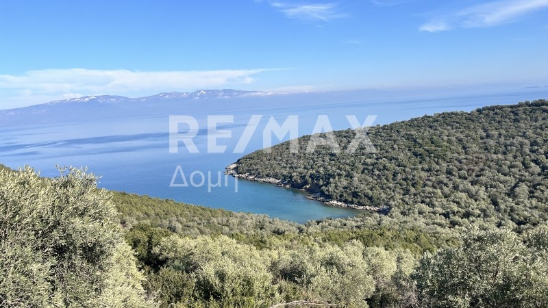 Οικόπεδο 9.221 τ.μ. πρός πώληση, Μαγνησία, Σούρπη