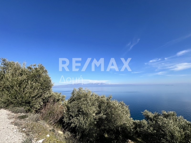 Οικόπεδο 9.992 τ.μ. πρός πώληση, Μαγνησία, Σούρπη