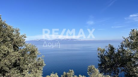 Οικόπεδο 9.992τ.μ. για πώληση-Σούρπη » Αμαλιάπολη