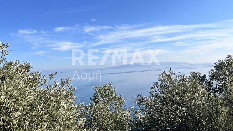 Οικόπεδο 9.992 τ.μ. πρός πώληση, Μαγνησία, Σούρπη