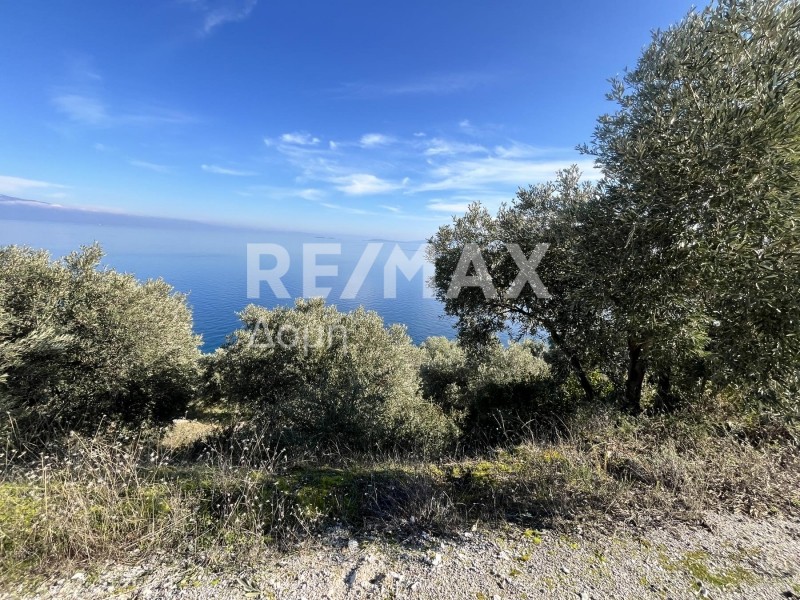 Οικόπεδο 9.992 τ.μ. πρός πώληση, Μαγνησία, Σούρπη