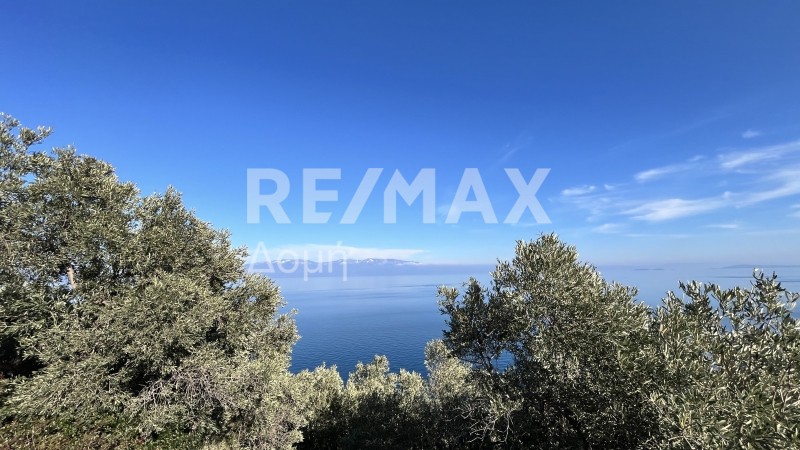 Οικόπεδο 16.705 τ.μ. πρός πώληση, Μαγνησία, Σούρπη