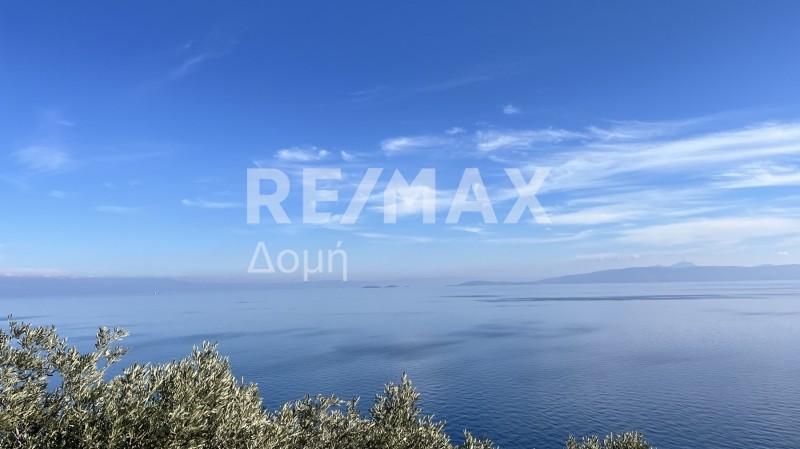 Οικόπεδο 16.705 τ.μ. πρός πώληση, Μαγνησία, Σούρπη