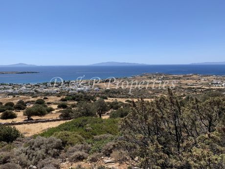Αγροτεμάχια 14.679 τ.μ. για πώληση