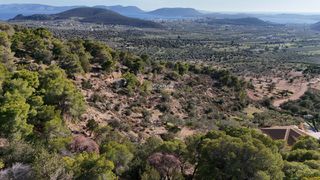 Αγροτεμάχια 5.011,08 τ.μ. για πώληση, Αργολίδα, Ερμιόνη-thumb-1