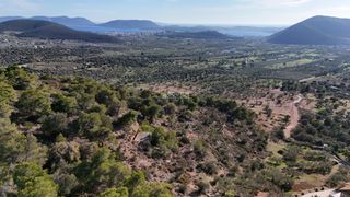 Αγροτεμάχια 5.011,08 τ.μ. για πώληση, Αργολίδα, Ερμιόνη-thumb-2