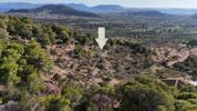 Αγροτεμάχια 5.011,08τ.μ. για πώληση-Ερμιόνη